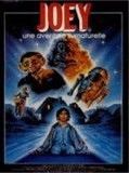 Affiche de Joey, film à voir en streaming sur Pygargue