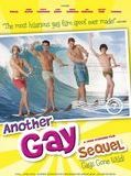 Affiche de Another Gay Sequel: Gays Gone Wild!, film à voir en streaming sur Pygargue