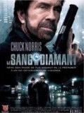 Affiche de Le Sang du diamant, film à voir en streaming sur Pygargue