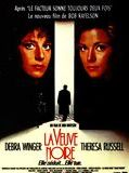Affiche de La Veuve noire, film à voir en streaming sur Pygargue