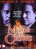Affiche de Murder of Crows, film à voir en streaming sur Pygargue