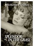 Affiche de Splendor in the Grass, film à voir en streaming sur Pygargue
