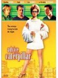 Affiche de Advice from a Caterpillar, film à voir en streaming sur Pygargue