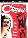 Affiche de Femmes en cage, film à voir en streaming sur Pygargue