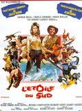 Affiche de L'Etoile du sud, film à voir en streaming sur Pygargue