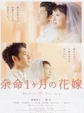 Affiche de April Bride, film à voir en streaming sur Pygargue