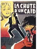 Affiche de La Chute d'un caïd, film à voir en streaming sur Pygargue