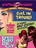 Affiche de A Good Time with a Bad Girl, film à voir en streaming sur Pygargue