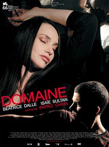 Affiche de Domaine, film à voir en streaming sur Pygargue