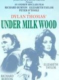 Affiche de Under Milk Wood, film à voir en streaming sur Pygargue