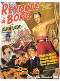 Affiche de Révolte à bord, film à voir en streaming sur Pygargue