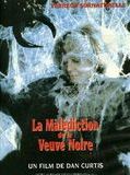 Affiche de La Malédiction de la veuve noire, film à voir en streaming sur Pygargue
