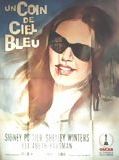 Affiche de Un Coin de ciel bleu, film à voir en streaming sur Pygargue