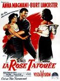 Affiche de La Rose tatouée, film à voir en streaming sur Pygargue