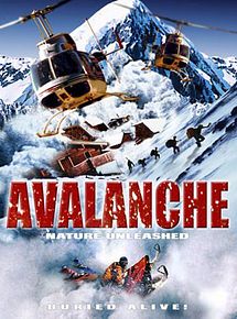 Affiche de Alerte : Avalanche (TV), film à voir en streaming sur Pygargue