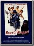 Affiche de Sacre Slappy, film à voir en streaming sur Pygargue