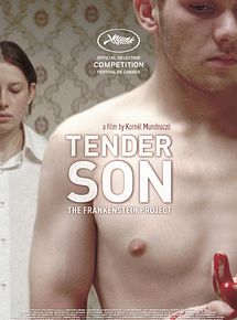 Affiche de Tender Son : The Frankenstein Project, film à voir en streaming sur Pygargue
