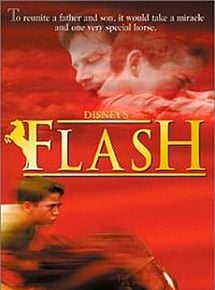 Affiche de Flash, film à voir en streaming sur Pygargue
