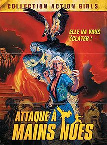 Affiche de Attaque à mains nues, film à voir en streaming sur Pygargue