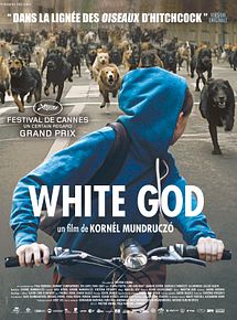 Affiche de White God, film à voir en streaming sur Pygargue