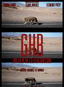 Affiche de G.H.B., film à voir en streaming sur Pygargue
