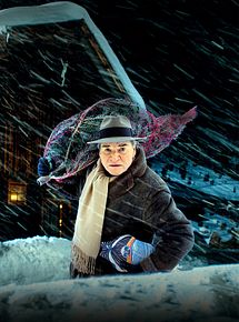 Affiche de Un Noël sous les étoiles (TV), film à voir en streaming sur Pygargue