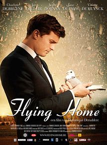 Affiche de Flying Love, film à voir en streaming sur Pygargue