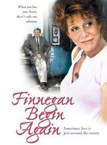 Affiche de Finnegan remet ça, film à voir en streaming sur Pygargue