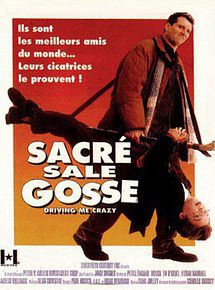 Affiche de Sacré sale gosse, film à voir en streaming sur Pygargue