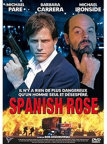 Affiche de Le Garde du corps, film à voir en streaming sur Pygargue