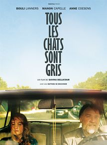 Affiche de Tous les Chats sont gris, film à voir en streaming sur Pygargue