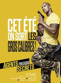 Affiche de Agents presque secrets, film à voir en streaming sur Pygargue