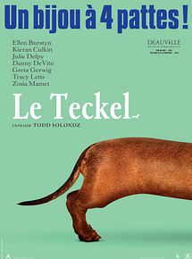 Affiche de Le Teckel, film à voir en streaming sur Pygargue