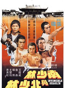Affiche de Fureur Shaolin, film à voir en streaming sur Pygargue
