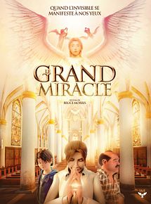 Affiche de Le Grand Miracle, film à voir en streaming sur Pygargue