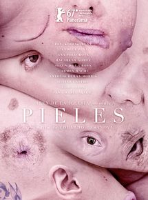 Affiche de Skins, film à voir en streaming sur Pygargue