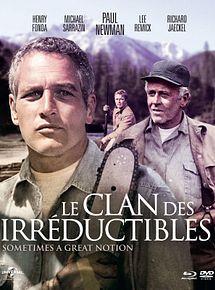 Affiche de Le Clan des irréductibles, film à voir en streaming sur Pygargue
