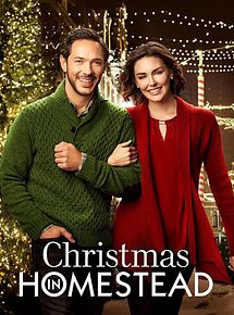 Affiche de Noël avec une star, film à voir en streaming sur Pygargue