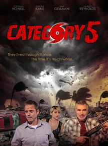 Affiche de Au coeur de la tempête, film à voir en streaming sur Pygargue