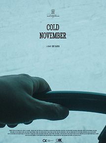Affiche de Cold November, film à voir en streaming sur Pygargue