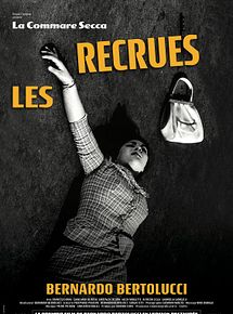 Affiche de Les Recrues, film à voir en streaming sur Pygargue