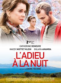 Affiche de L'Adieu à la nuit, film à voir en streaming sur Pygargue
