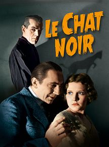 Affiche de Le Chat noir, film à voir en streaming sur Pygargue