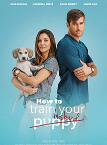 Affiche de How To Train Your Husband, film à voir en streaming sur Pygargue