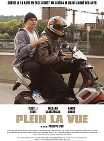 Affiche de Plein la vue, film à voir en streaming sur Pygargue
