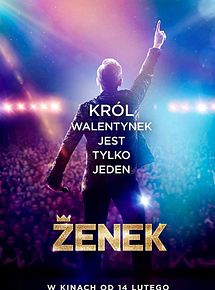 Affiche de Zenek, roi du disco polo, film à voir en streaming sur Pygargue