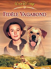 Affiche de Fidèle vagabond, film à voir en streaming sur Pygargue
