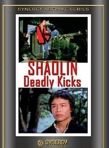 Affiche de Shaolin contre les 8 serpents, film à voir en streaming sur Pygargue