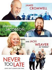 Affiche de Never Too Late, film à voir en streaming sur Pygargue