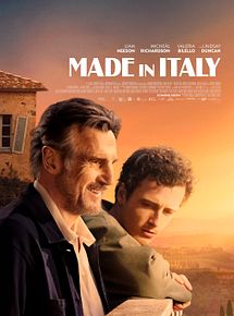 Affiche de Made In Italy, film à voir en streaming sur Pygargue